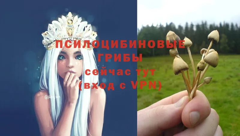 Как найти закладки Бийск Каннабис  Меф мяу мяу  MDMA  Гашиш  Alpha PVP 