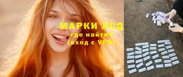 хмурый Белокуриха