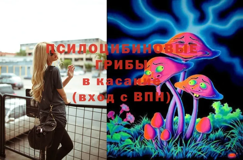 наркотики  ссылка на мегу зеркало  Галлюциногенные грибы MAGIC MUSHROOMS  Бийск 