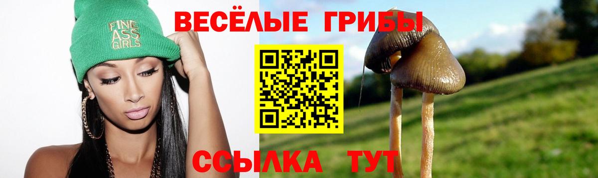 Бийск  Галлюциногенные грибы прущие грибы  Псилоцибиновые грибы MAGIC MUSHROOMS  Вход с VPN 